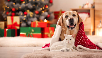 Top 10 Must-Have Pet Accessories for Christmas