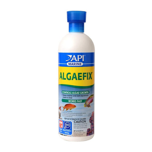 API Marine AlgaeFix Controls Algae Growth and Works Fast