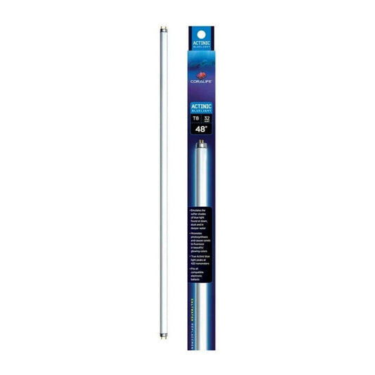 Aqueon Actinic Blue Light T8 Fluorescent Lamp