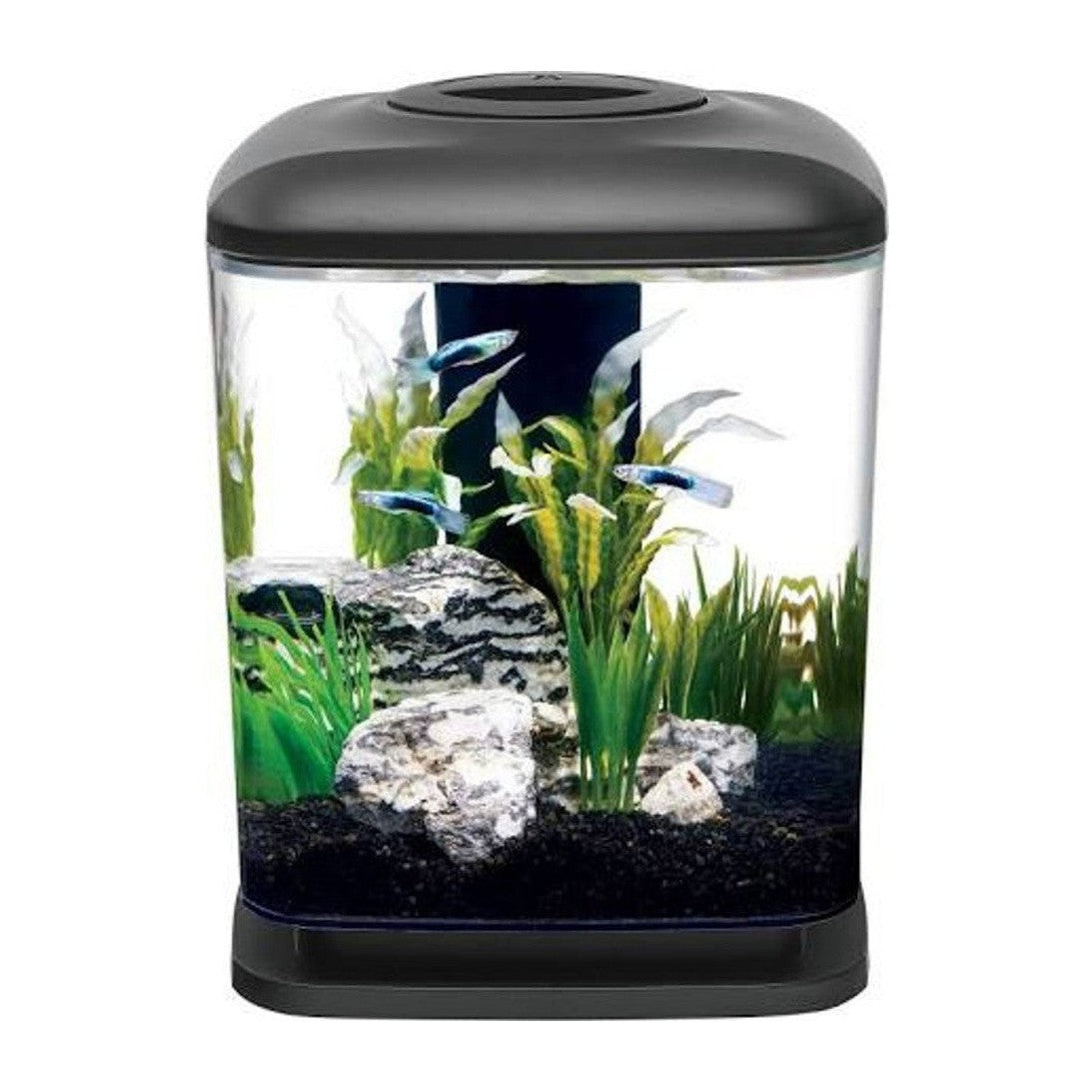 Aqueon Mini Cube Desktop Aquarium Kit 1.6 Gallon