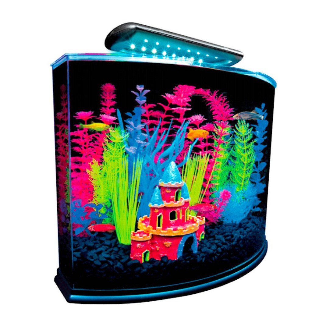 GloFish Aquarium Kit with LED Light 5 Gallons