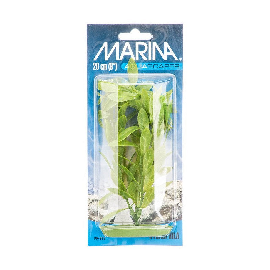 Marina Aquascaper Hygrophila Plant