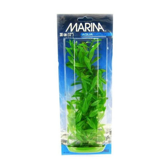 Marina Aquascaper Hygrophila Plant