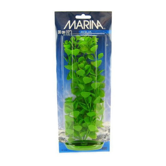 Marina Aquascaper Moneywort Plant