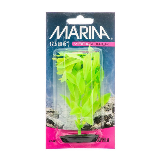 Marina Vibrascaper Hygrophilia Plant Green DayGlo