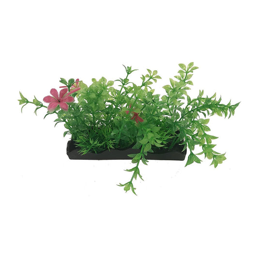 Penn Plax Green and Pink Bunch Plants Medium