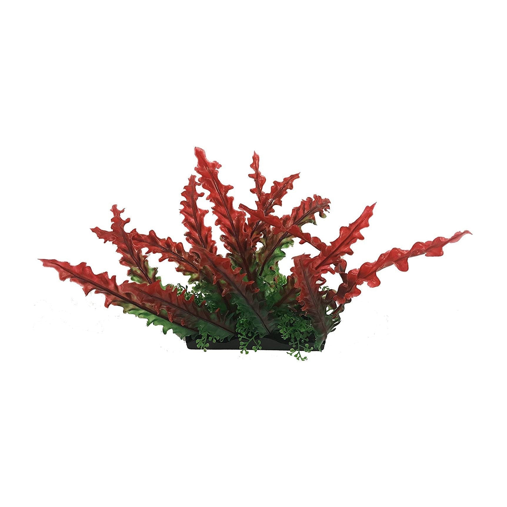 Penn Plax Red Bunch Plant Large