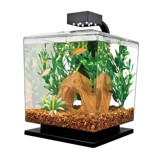 Tetra LED Aquarium Kit Black 1.5 Gallon Cube